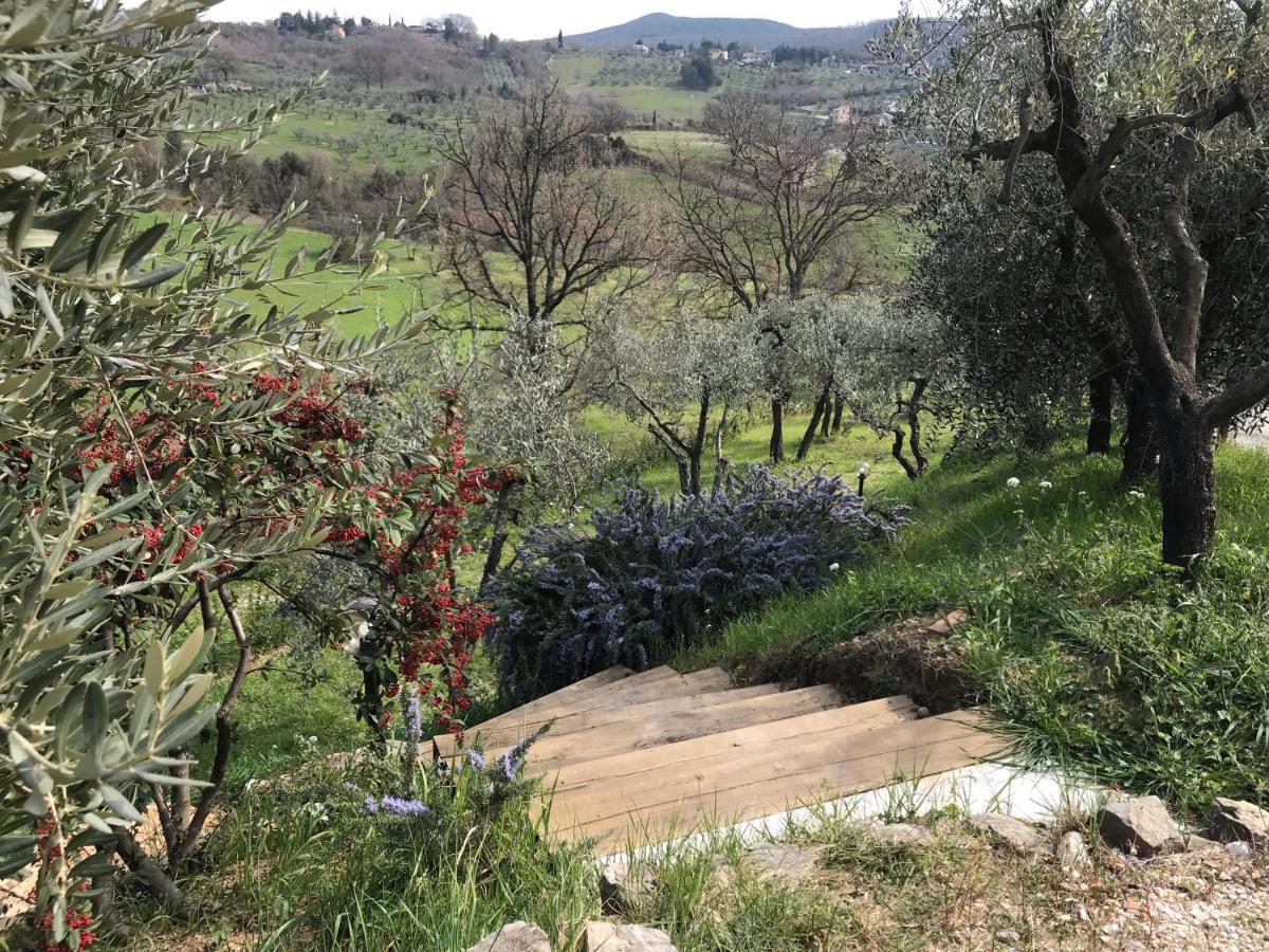 La Casa Di Demetra. Un Paradiso Tra Gli Olivi. Монтеккьо Экстерьер фото
