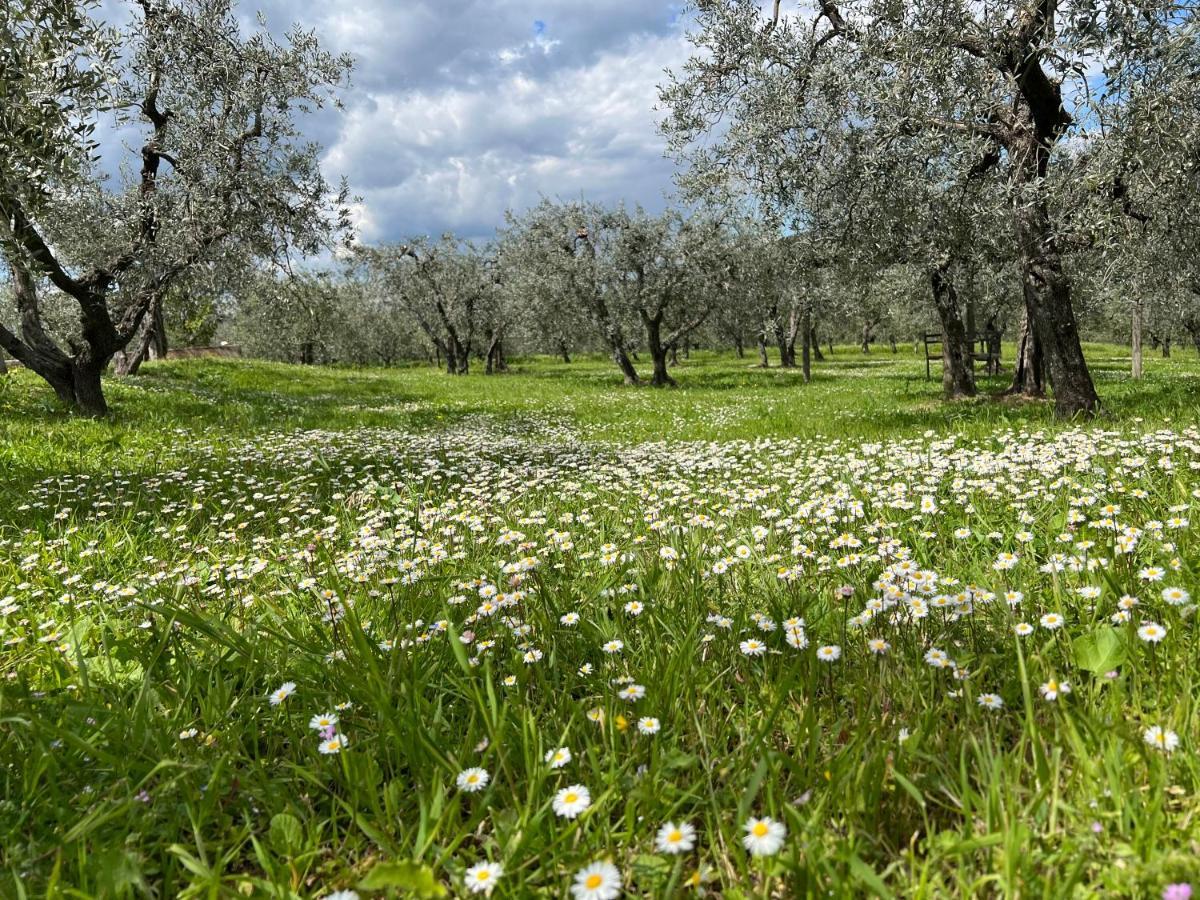 La Casa Di Demetra. Un Paradiso Tra Gli Olivi. Монтеккьо Экстерьер фото